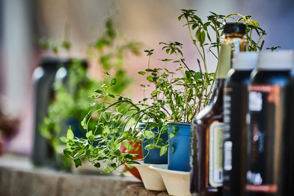 Kräuter und Saucen für das BBQ Büffet im Strandhotel am Steinhuder Meer Eventgastronomie